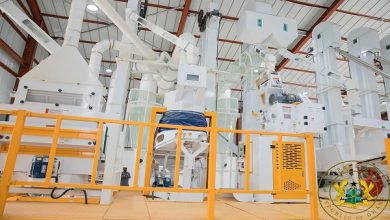 Gov't to establish rice processing factory in Kintampo
