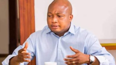 Sack those responsible - Ablakwa on Meek Mills Jubilee House video