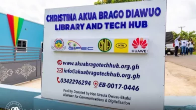 Ursula Owusu under criticism for naming public facility after her mother